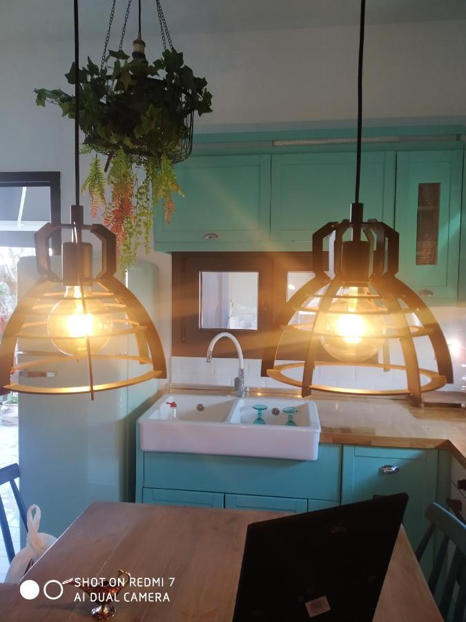 Vintage Lux Homes Nea Vrasna Luaran gambar
